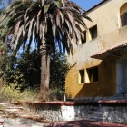 PA210060