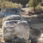 PA210064
